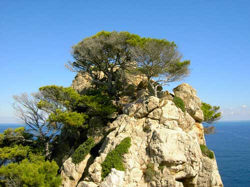 Mallorca Aussichtspunkt Golf and Travel