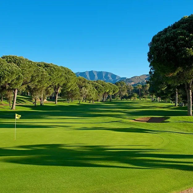 Rio Real Golf-1180×625 Rio Real Golf