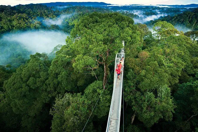 Hängebrücke in Costa Rica