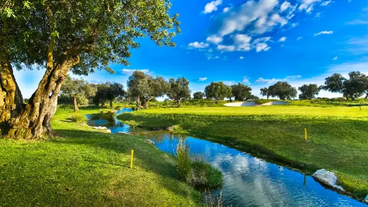 Quinta de Cima
